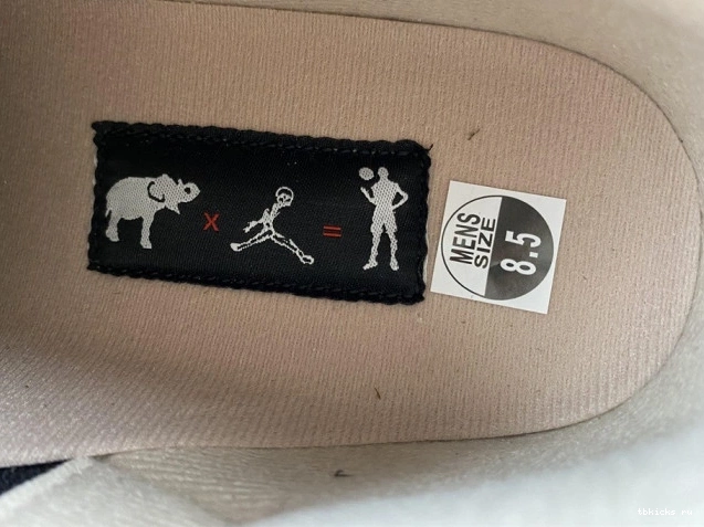 Reps TB Elephant CT8532-008 Jordan Air Desert 3 0823